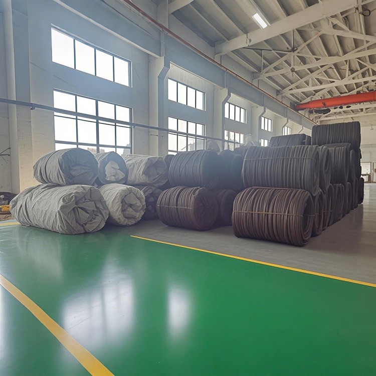 flat spring steel wire1